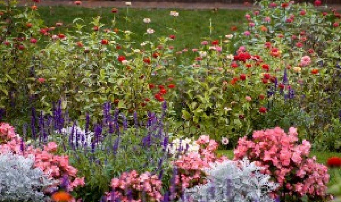 26.08 Garden